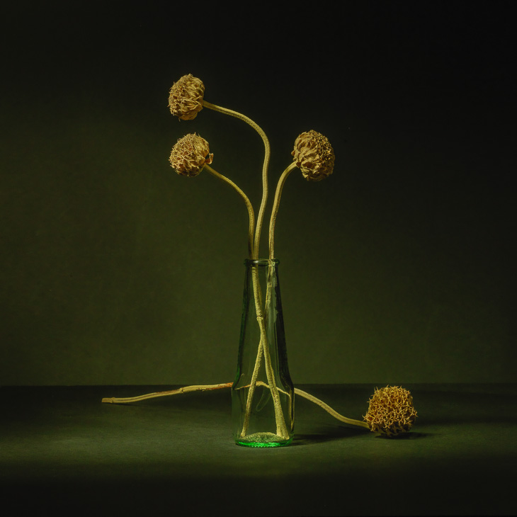 Flowers_2668_Pano2_60er
